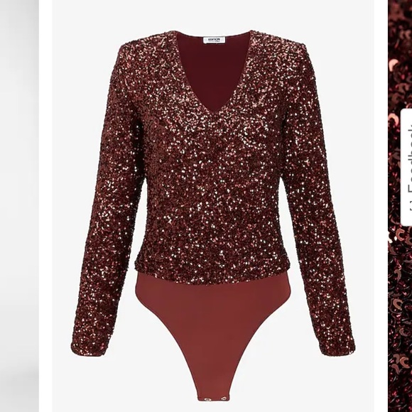 Brown Sequin V-Neck Thong Bodysuit from Express, NWT - Picture 6 of 6